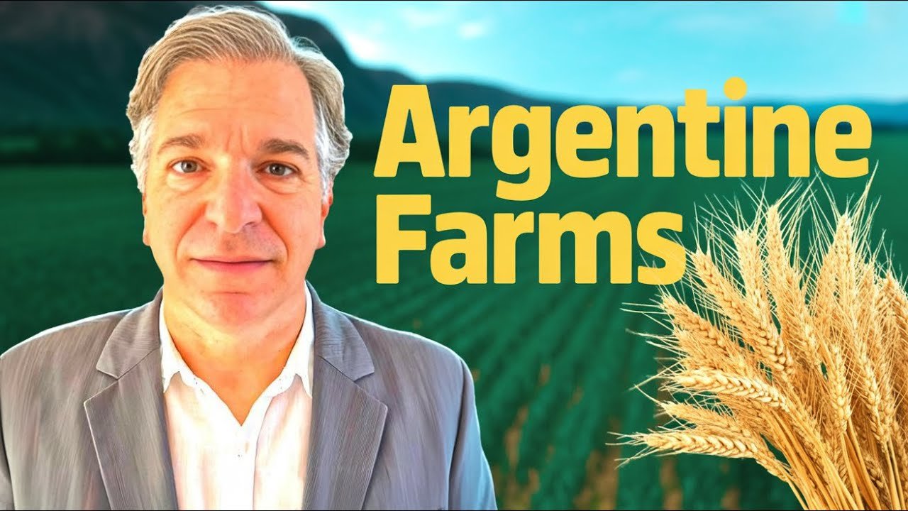 Argentine Land Banking Farms In Mendoza. Best Farms for Cattle & AgriculuralPurposes At the Best Purchase Market Value for Land Banking Purposes. Bitcoin Mining, Agricultural & Cattle Farm, AI CPUs – GPUs in Mendoza.